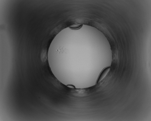 X0000100320478200806191007