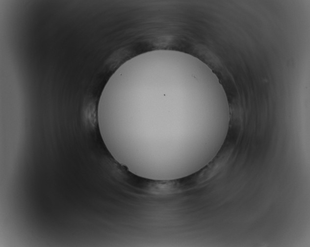 X0000100320479200806191007