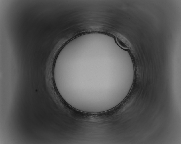 X0000100320481200806191006