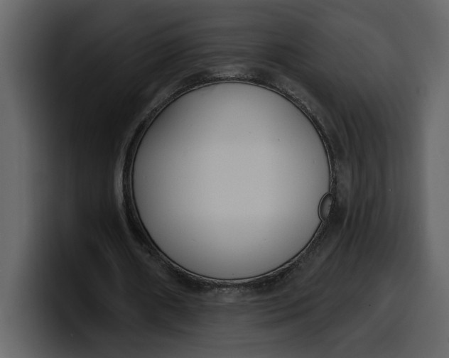 X0000100320482200806191006