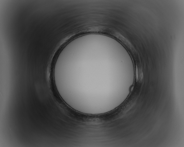 X0000100320483200806191006