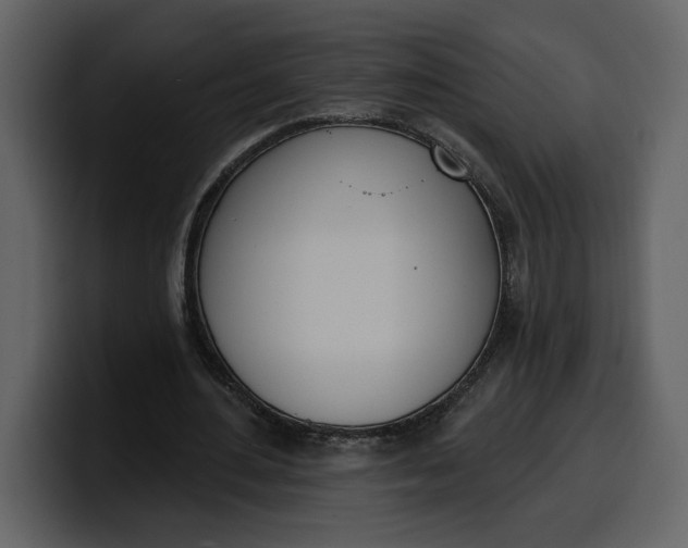 X0000100320484200806191006