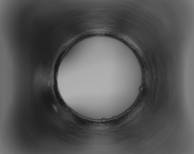 X0000100320486200806191006