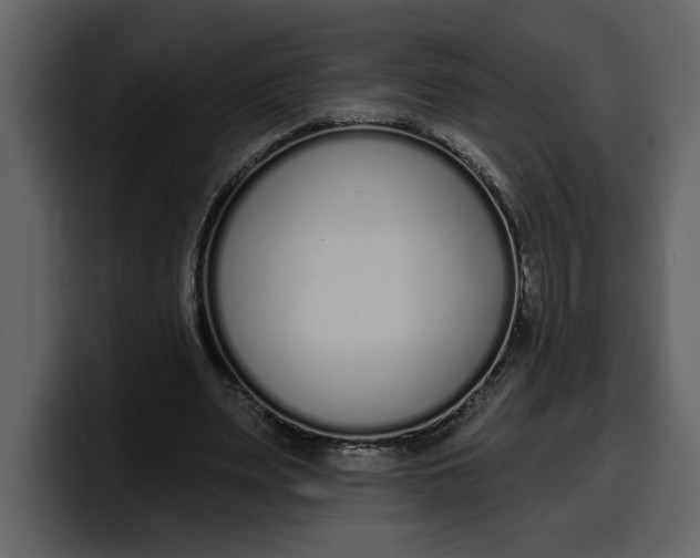 X0000100320487200806191006