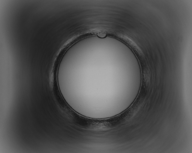 X0000100320488200806191006