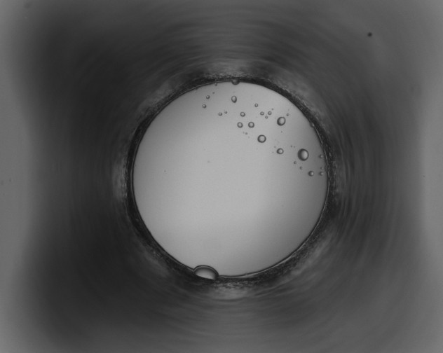 X0000100320489200806191006