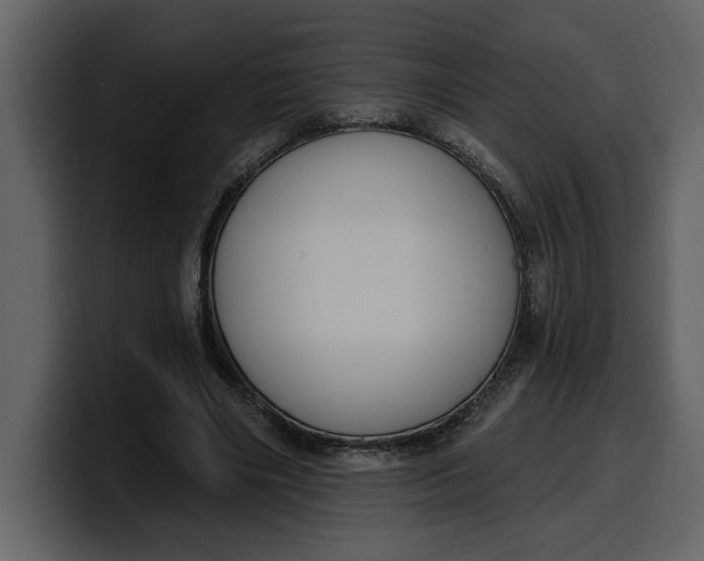 X0000100320490200806191006