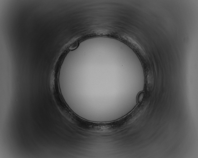 X0000100320492200806191006