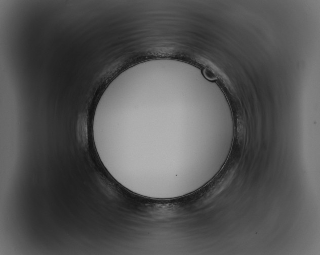 X0000100320493200806191006