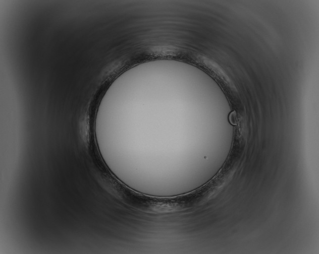 X0000100320494200806191006