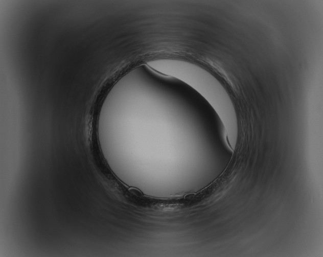 X0000100320495200806191006