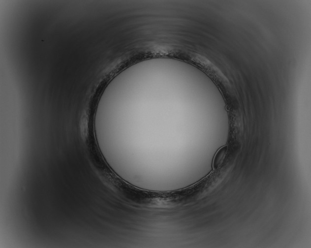 X0000100320496200806191006