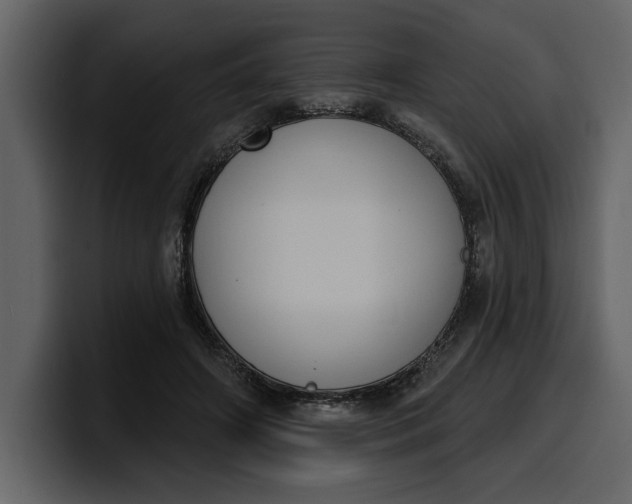 X0000100320498200806191006