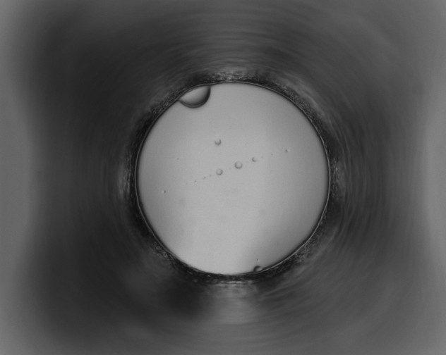 X0000100320499200806191006