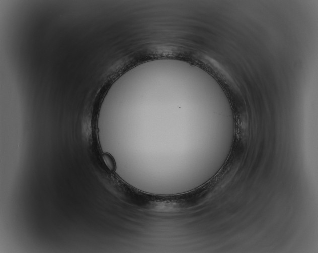 X0000100320500200806191006