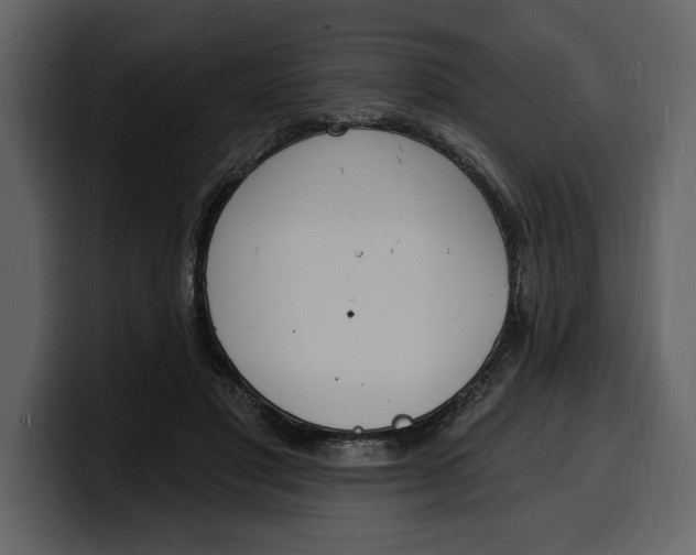 X0000100320501200806191006