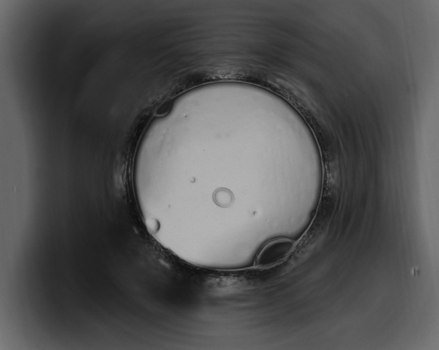 X0000100320503200806191006