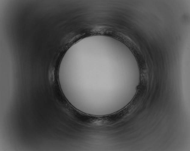 X0000100320504200806191006