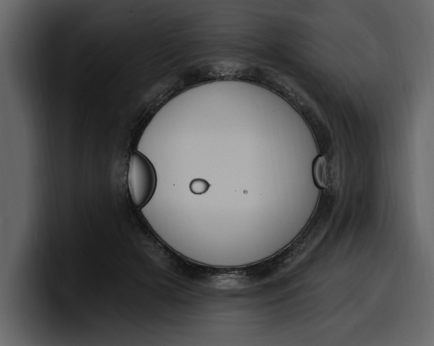 X0000100320505200806191006