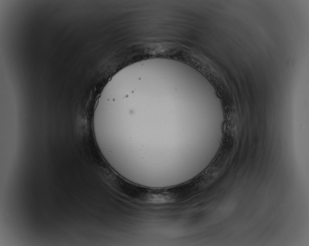 X0000100320510200806191006