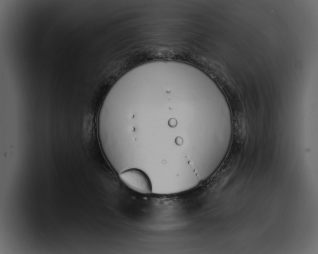 X0000100320511200806191006