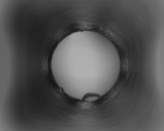 X0000100320512200806191006