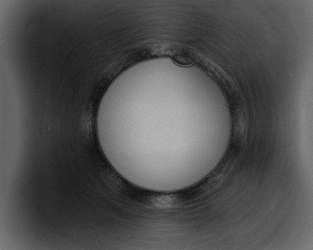 X0000100320513200806191006