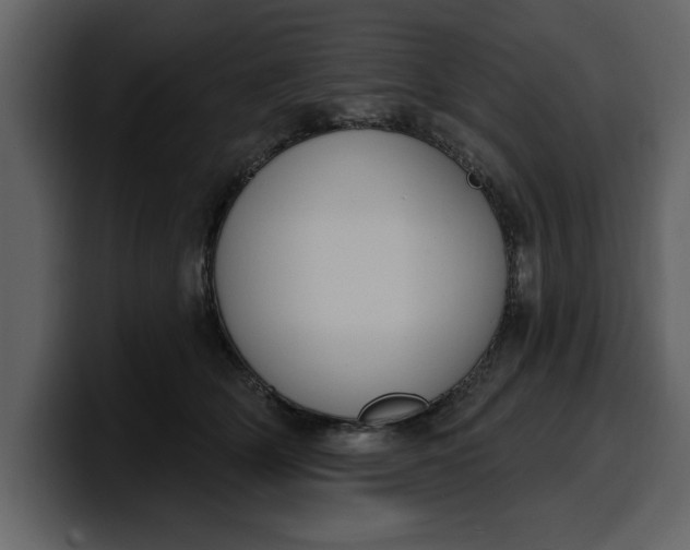 X0000100320514200806191006