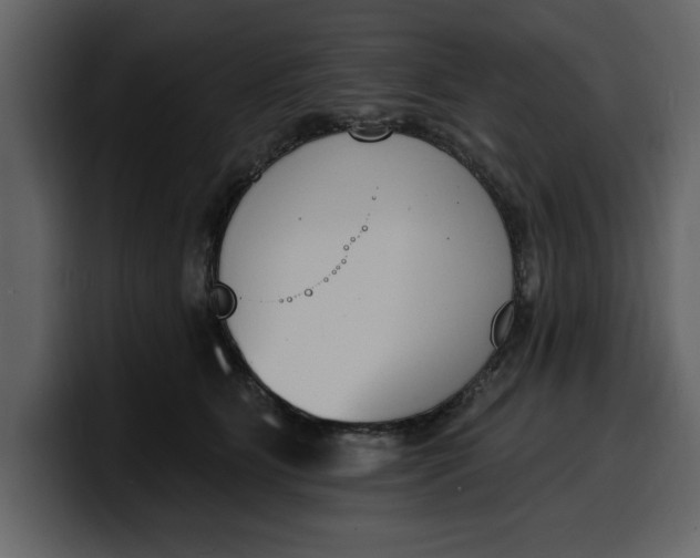 X0000100320515200806191006