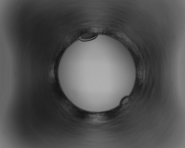 X0000100320516200806191006