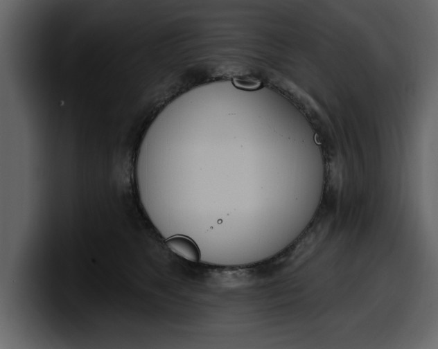 X0000100320517200806191006