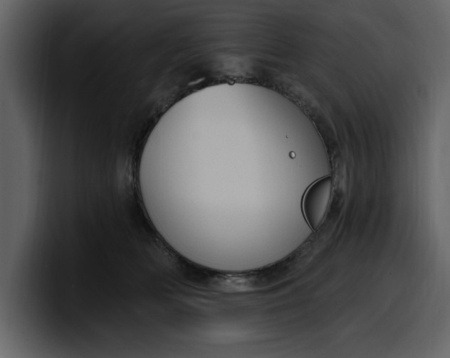 X0000100320518200806191006