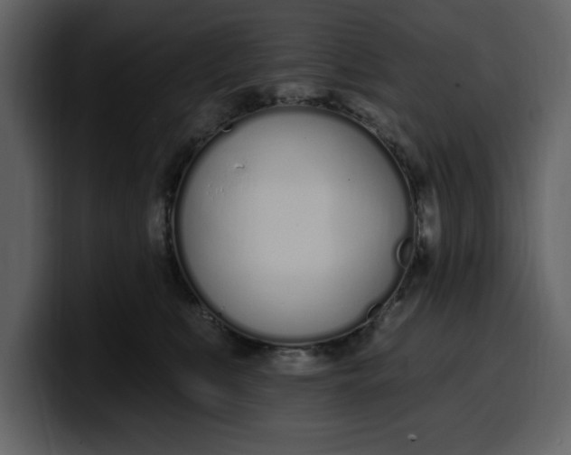 X0000100320519200806191006