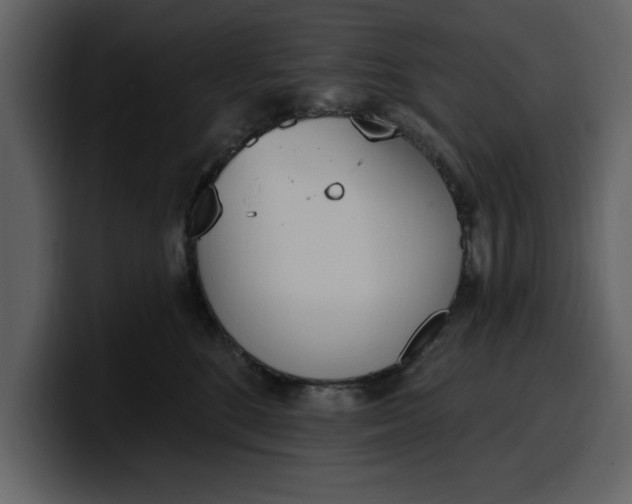 X0000100320520200806191006