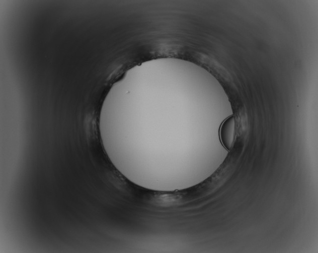 X0000100320522200806191006