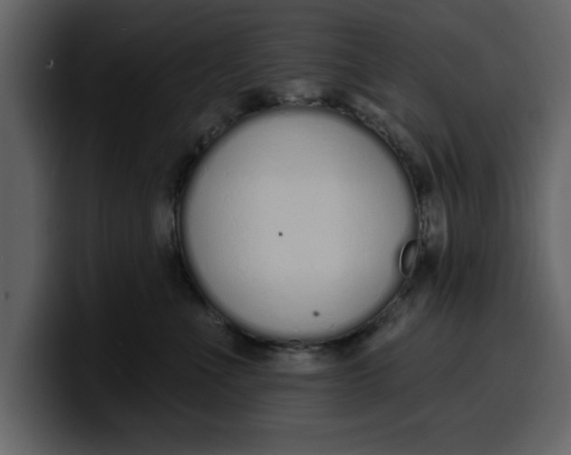 X0000100320523200806191006