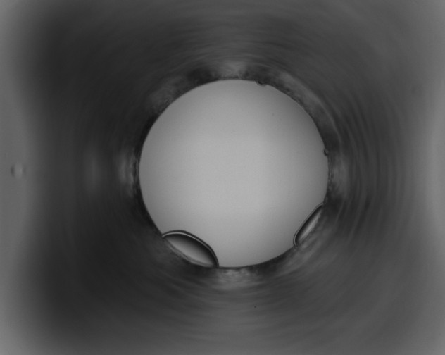 X0000100320525200806191006