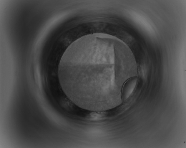 X0000100320526200806191006