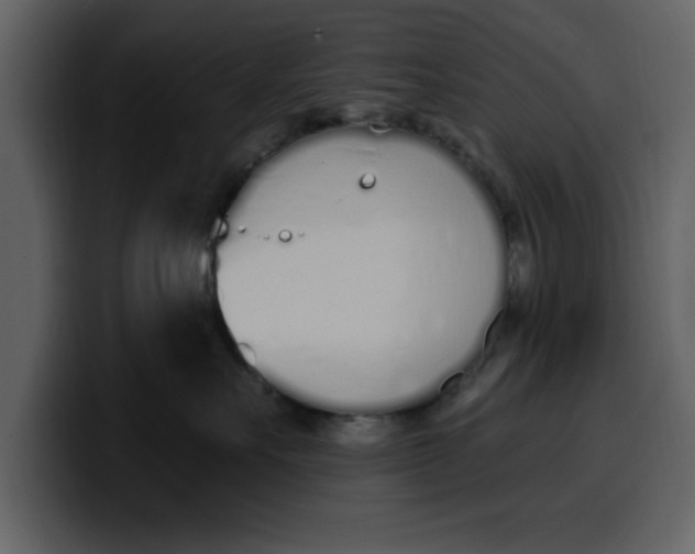 X0000100320527200806191006