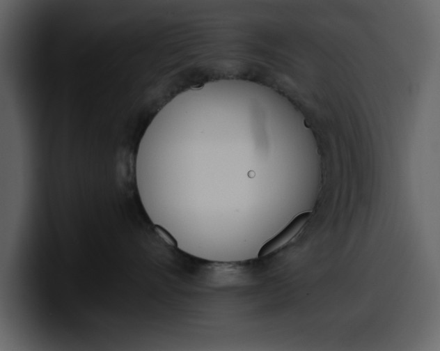 X0000100320528200806191006