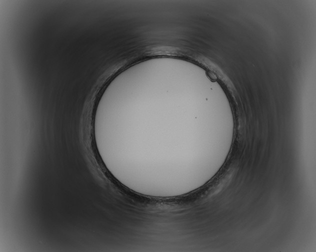 X0000100320529200806191005