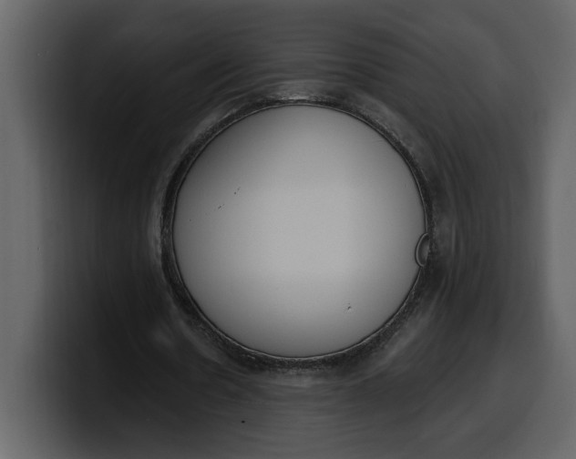 X0000100320530200806191005