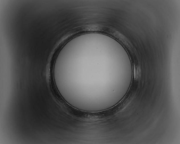 X0000100320531200806191005