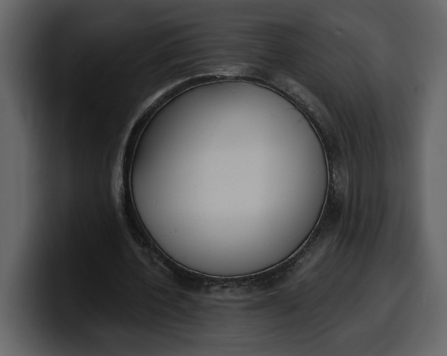 X0000100320532200806191005