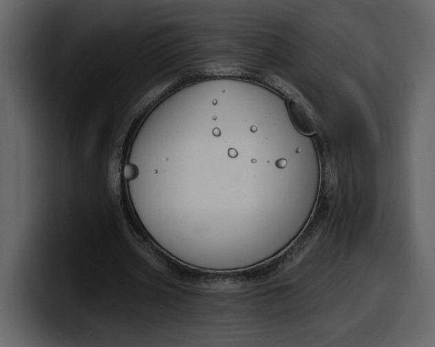 X0000100320533200806191005