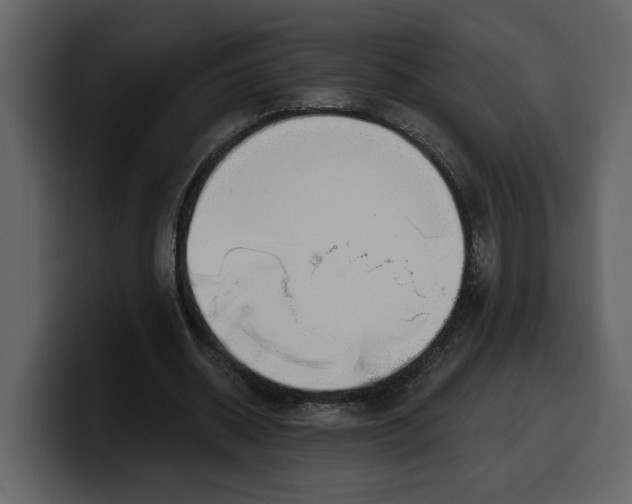 X0000100320534200806191005