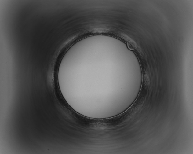 X0000100320535200806191005