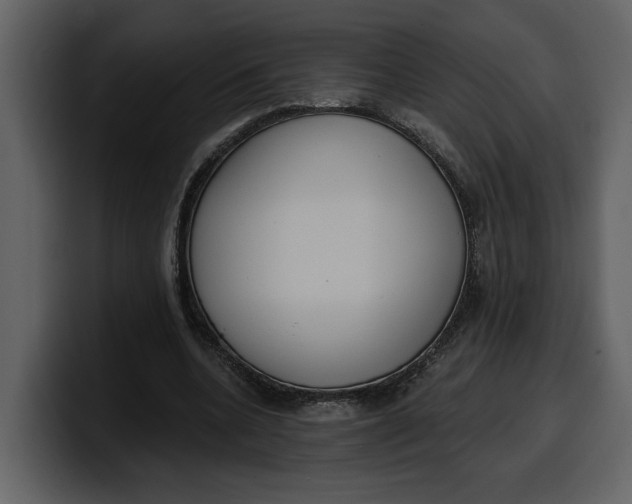 X0000100320536200806191005