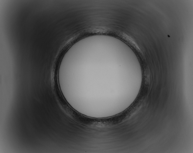 X0000100320538200806191005