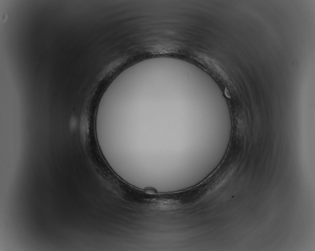 X0000100320539200806191005